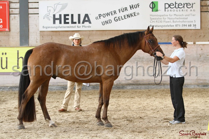 24-ApHC HIH_070.jpg